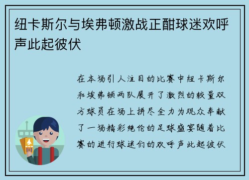 纽卡斯尔与埃弗顿激战正酣球迷欢呼声此起彼伏